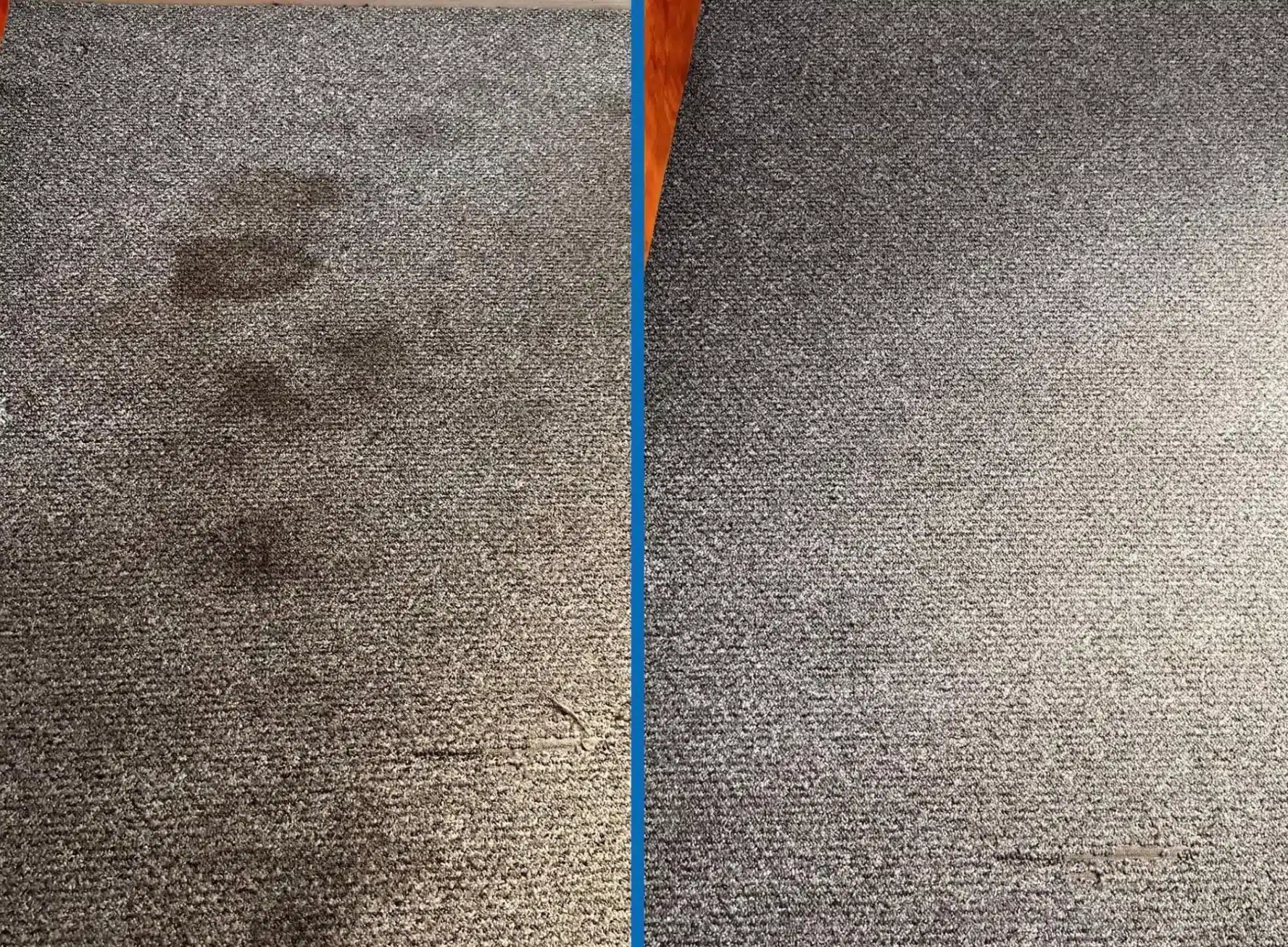 369786302_790469816109951_5729036655521802264_n